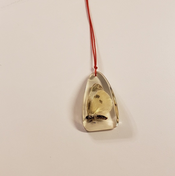Jewelry - Preserved Butterfly Necklace